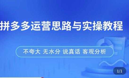 拼多多店铺运营思路与实操教程，快速学会拼多多开店和运营，少踩坑，多盈利-微风-知识付费系统